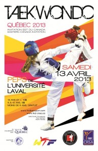 Compétition de Taekwondo - Québec 2013